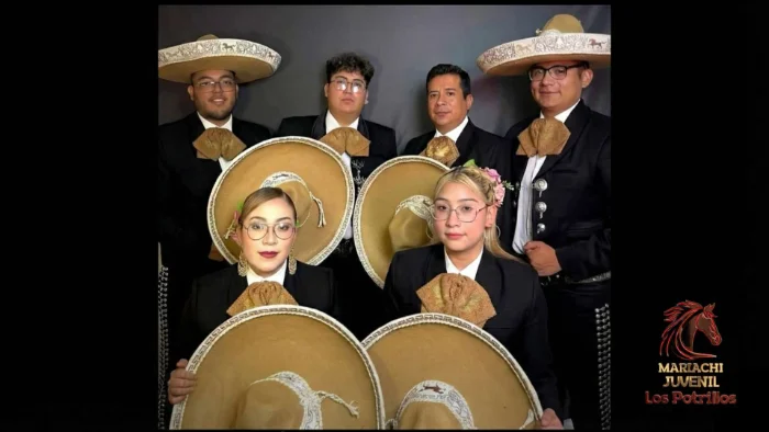 Precio de Mariachi Tlalnepantla